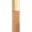 4W Medium Deep (Warm)