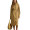 Classic Camel