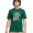Collegiate Green