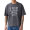 2H Phantom