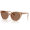 Shiny Transparent Brown